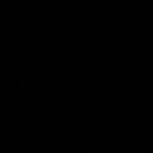 Meet your Posher, Hazel